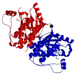 Image of CATH 5c9c