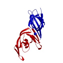 Image of CATH 5c9d