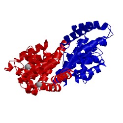 Image of CATH 5c9e