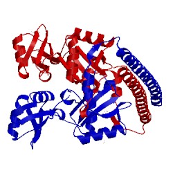 Image of CATH 5ca5