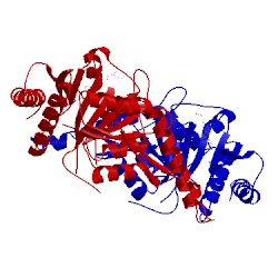 Image of CATH 5cb0