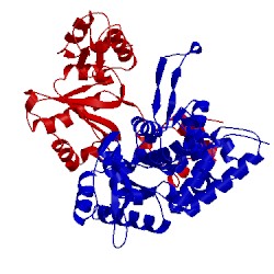 Image of CATH 5cb1