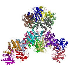 Image of CATH 5cb5