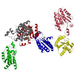 Image of CATH 5cb6