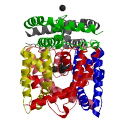 Image of CATH 5cbh