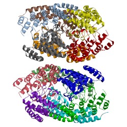 Image of CATH 5cbo