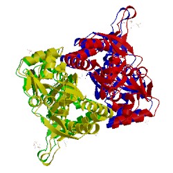 Image of CATH 5cbs