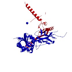 Image of CATH 5ccb