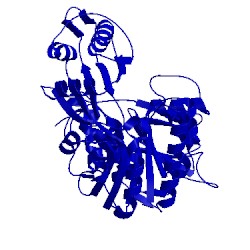 Image of CATH 5ccf