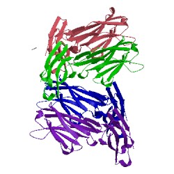 Image of CATH 5cd3