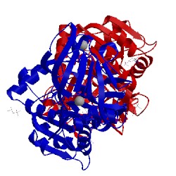 Image of CATH 5cdg