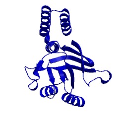 Image of CATH 5cdk