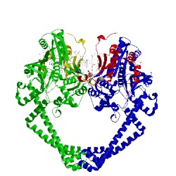 Image of CATH 5cdp