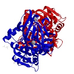 Image of CATH 5cdt