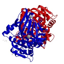 Image of CATH 5cdu