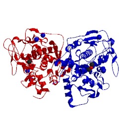 Image of CATH 5ce9