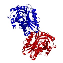 Image of CATH 5ceb