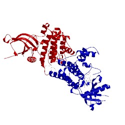 Image of CATH 5cf6