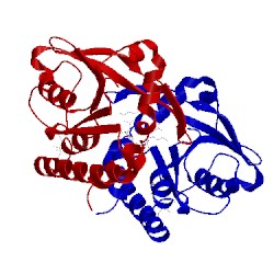 Image of CATH 5cfl