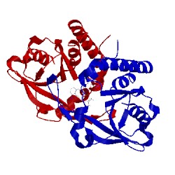 Image of CATH 5cfn