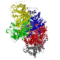 Image of CATH 5cg0