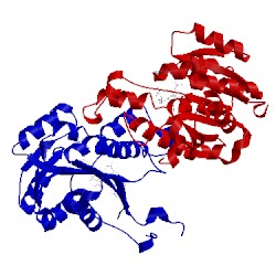 Image of CATH 5cg2