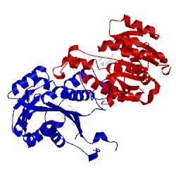 Image of CATH 5cg2