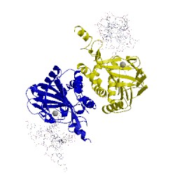 Image of CATH 5cg9