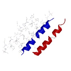 Image of CATH 5cgo