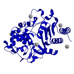 Image of CATH 5cgx