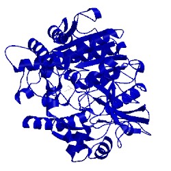 Image of CATH 5ch5