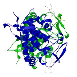 Image of CATH 5cie