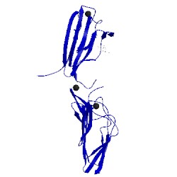 Image of CATH 5cis