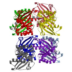 Image of CATH 5cj2