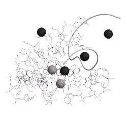 Image of CATH 5cki