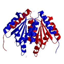 Image of CATH 5clf