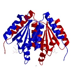 Image of CATH 5clj