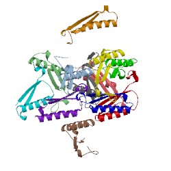 Image of CATH 5cln