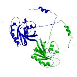 Image of CATH 5clq