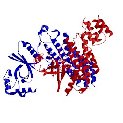 Image of CATH 5clr