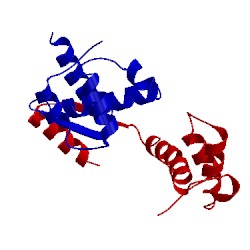 Image of CATH 5cm3