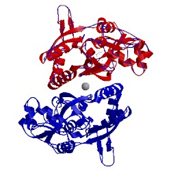 Image of CATH 5cmb