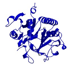Image of CATH 5cmf