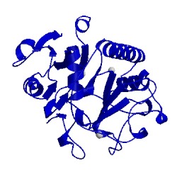 Image of CATH 5cmg