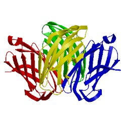 Image of CATH 5cn1