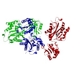 Image of CATH 5cnx