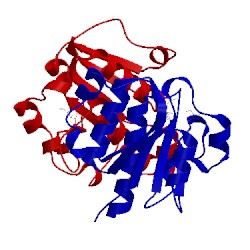 Image of CATH 5co4