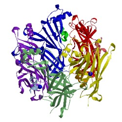 Image of CATH 5co5