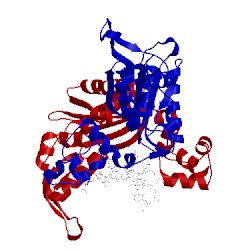 Image of CATH 5cp2