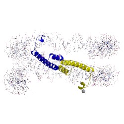 Image of CATH 5cp6